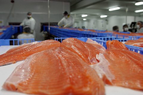 Nuevo arancel de Trump: ¿Qué productos chilenos se verán afectados y cuáles quedan fuera?