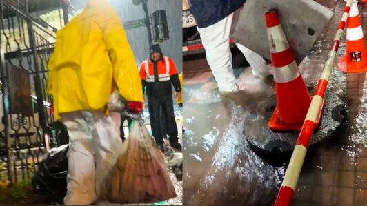 Sacos con cabezas de caballos: El insólito hallazgo de Aguas Andinas en colector de Puente Alto