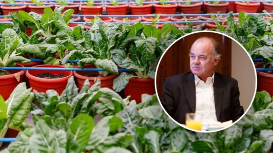 Hasta US$ 400 millones en pérdidas: Sociedad Nacional de Agricultura alerta por impacto del nuevo arancel de Estados Unidos