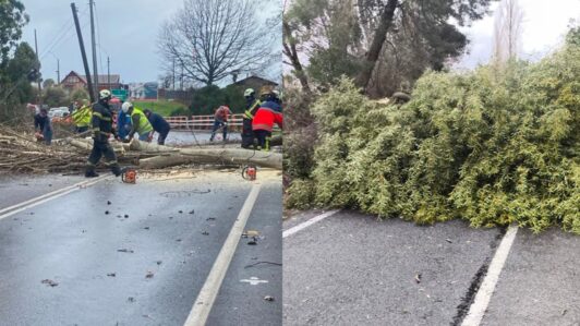 Tornados provocan caída de árboles y cortes de tránsito en Ñuble: MOP despliega equipos para despejar las rutas
