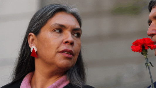 Bárbara Figueroa apunta a Quiroz por megarreforma: “Esta reforma tiene nombre y apellido, es Jorge Quiroz”