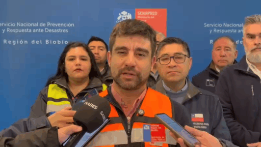 Sistema frontal en Biobío: MOP reporta caída de árboles en rutas y llama a evitar traslados innecesarios