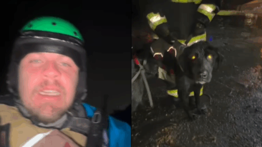 “Es un orgullo”: La increíble historia del concejal de Maipo que cruzó un río en kayak para rescatar a un perrito durante el sistema frontal