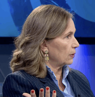 Magdalena Aninat rechaza instalación de pórticos en colegios vulnerables: 