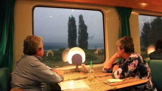 Tren nocturno llegará a La Araucanía este fin de semana: Revisa los precios