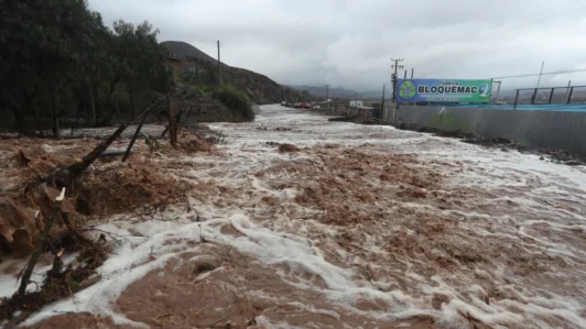 Llega a Chile y América Latina el 