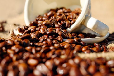 Degustaciones, arte y nuevas tendencias: Así se vive la ExpoCafé 2026 en Espacio Riesco