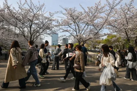 La puntuación media de habitabilidad en Asia aumentó en 0,3 puntos, hasta alcanzar los 73,9. La ciudad japonesa de Osaka, la ciudad asiática mejor clasificada, en el puesto número 7 de la lista. Artur Widak/NurPhoto/Shutterstock