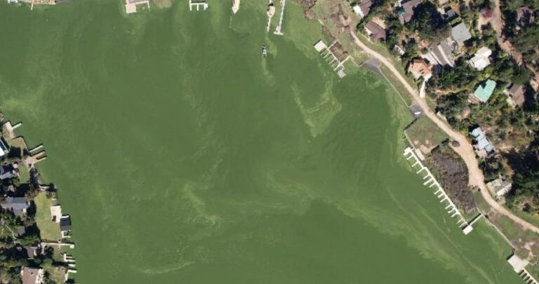 Contraloría detectó falencias en la gestión ambiental del lago Vichuquén: Ordenó reforzar su protección