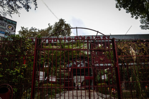 Liceo Augusto D’Halmar retomará las clases presenciales a partir de este lunes 17 de agosto