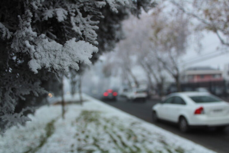 Región de Los Ríos: Decretan alerta temprana preventiva para varias comunas por nevadas