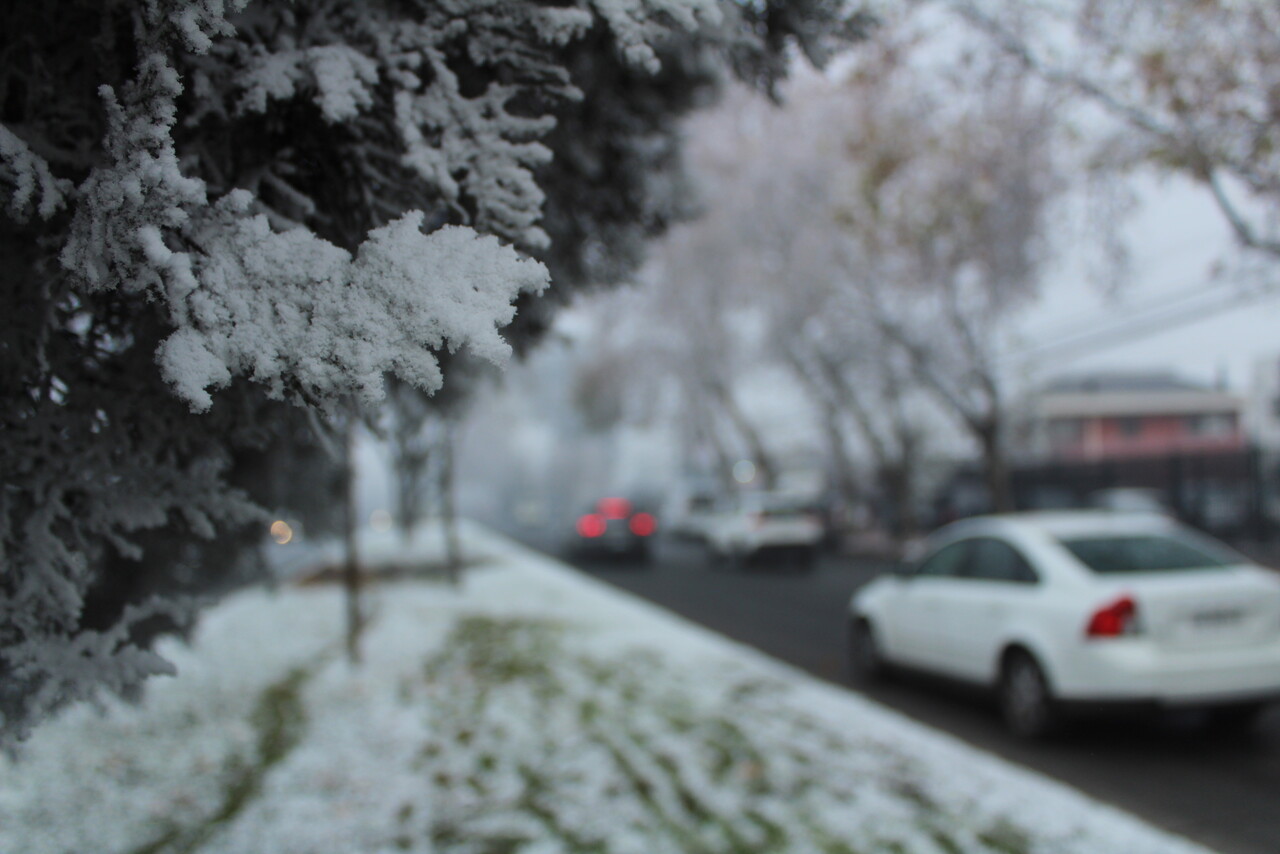 Región de Los Ríos: Decretan alerta temprana preventiva para varias comunas por nevadas