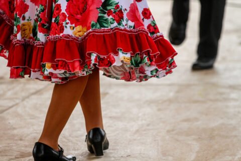 Gobierno fija postura: No respaldará proyecto de feriado del 17 de septiembre