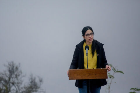 Ministra de Medio Ambiente tras revés en el TC: Aseguró que “no altera” la agenda ambiental del Gobierno