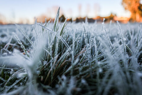 Se esperan hasta -12 °C: Meteorología emite alerta por heladas en dos regiones del sur del país