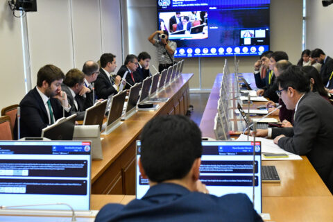 Avanza en el Congreso el Registro Nacional de Vándalos: Comisión de Seguridad de la Cámara aprueba en general el proyecto