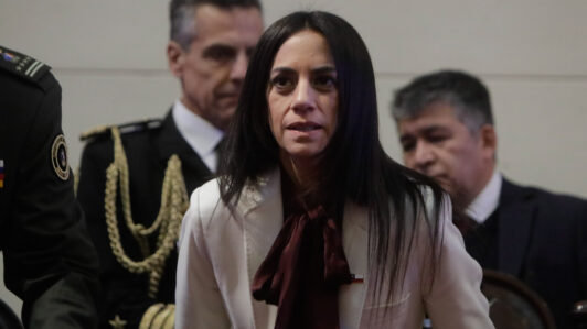 Paulina Núñez y tramitación de la reforma constitucional: 