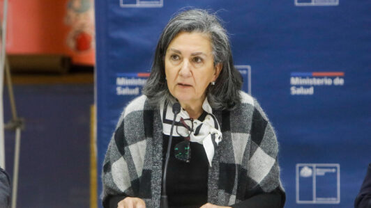 Ministra Chomali afirma que se necesita un 