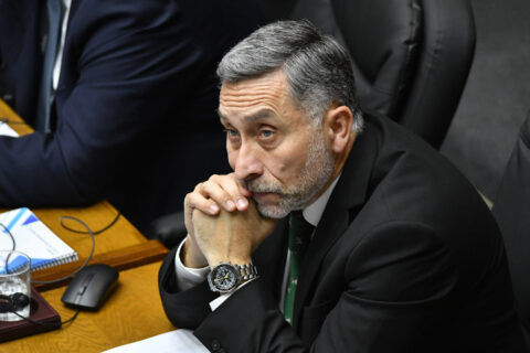Reforma de seguridad: Senador Vial (REP) afirma que habría votado 