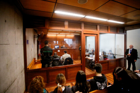 Decretan prisión preventiva para conductor que atropelló a cineasta Paz Ramírez: Informe arroja que bebió seis copas de sangría