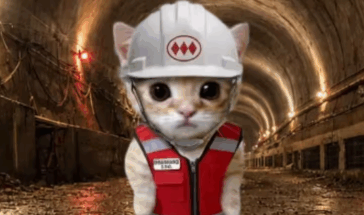 Metro lanza la “Michi Bip!”: ¿Dónde conseguir la tarjeta inspirada en el gato viral de Línea 7?