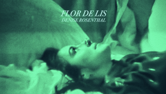 “Flor de Lis”: La campaña de Denise Rosenthal que busca financiar terapias psicológicas gratuitas