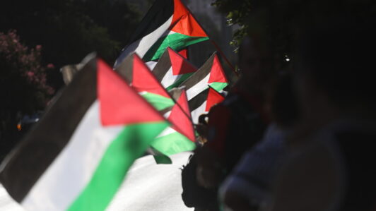 Embajada de Palestina tras dichos de Zaliasnik: 