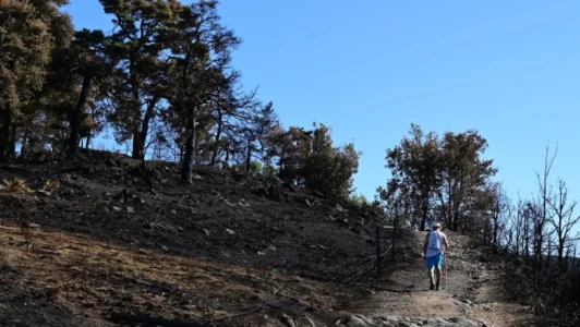 Verano marcado por olas de calor e incendios forestales: Europa occidental bate récord de temperatura con promedio de 21,62° C