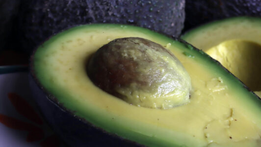 Producción de palta en Chile crecería 10% y alcanzaría su mejor nivel en 17 años