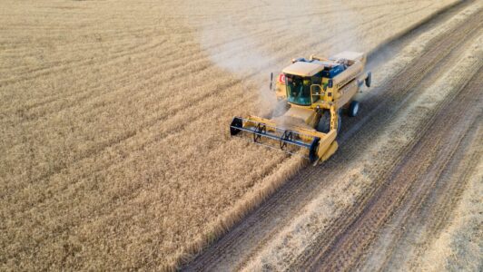 Trigo sube a máximos en dos años ante menor disponibilidad de exportaciones rusas y ucranianas