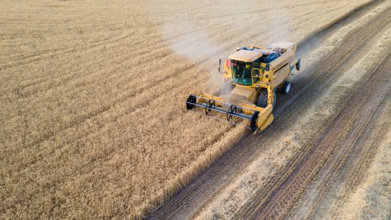 Trigo sube a máximos en dos años ante menor disponibilidad de exportaciones rusas y ucranianas