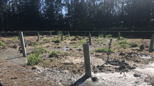 SMA multa a empresaria sanitaria con más de $669 millones por incumplimientos ambientales en planta de tratamiento de aguas servidas