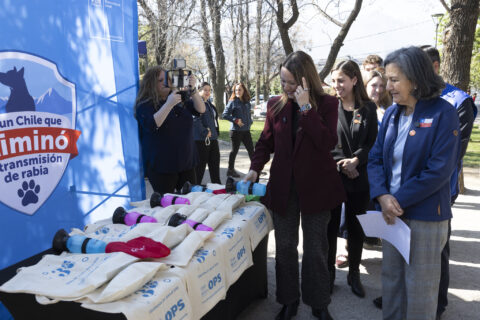 Chile es el primer país de Sudamérica en eliminar la transmisión de rabia de perros a humanos: Minsal recibió reconocimiento/Foto: Alejandra De Lucca V.