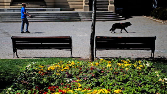 Equinoccio de primavera: Este es el día y hora exactos en que se producirá el cambio de estación