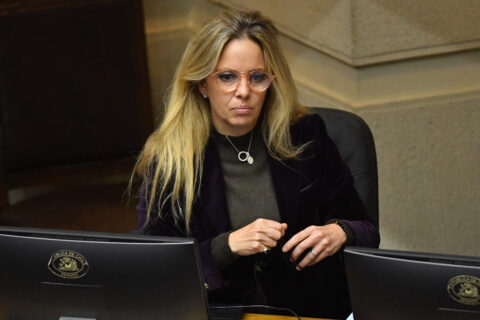 Sala Cuna Universal: Defensoría de la Niñez responde a Vanessa Kaiser tras afirmar que el proyecto “permite al Estado quitarle a los niños a los padres”