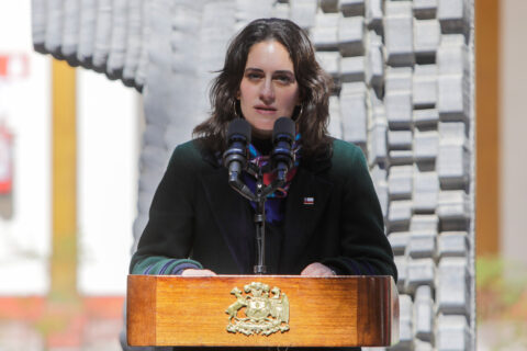Ministra Wulf advierte “número de clandestinidad muy alto” en hogares de adultos mayores tras tragedia en Pitrufquén