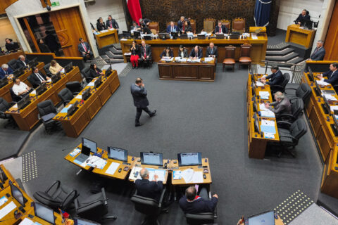 Tensión en el Senado: Suspenden sesión por Sala Cuna tras interrupciones desde la galería
