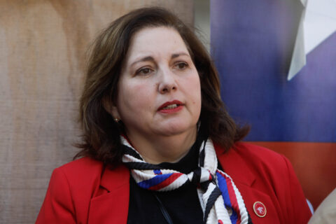 Paulina Vodanovic por reforma de seguridad: 