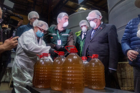 Ministerio de Agricultura y el SAG encabezan tradicional fiscalización de chicha de cara al inicio de las celebraciones por Fiestas Patrias/Agencia Uno