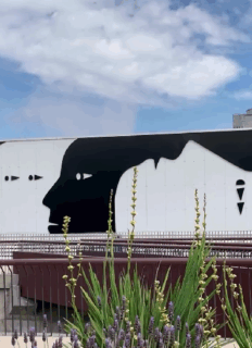 Aeropuerto de Santiago inaugura dos murales: “Se ve un lugar con más alma gracias a las obras de arte”