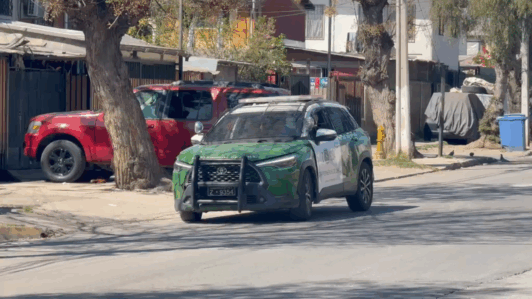 Perros callejeros se abalanzan contra Carabineros y permiten escape de prófugo por microtráfico en La Pintana