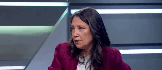 Macarena Lobos, exministra Segpres, por reforma de seguridad: “Si hubieran tenido los votos, hubiesen avanzado en este proyecto”