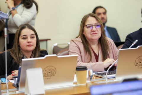 Diputadas del PDG estudian fórmulas de financiamiento para Sala Cuna Universal: “Tenemos que ser responsables fiscalmente”