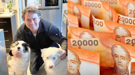 Millonaria estafa denunciada por el veterinario Sebastián Jiménez: Acusa que le sustrajeron casi $400 millones de su empresa de servicios
