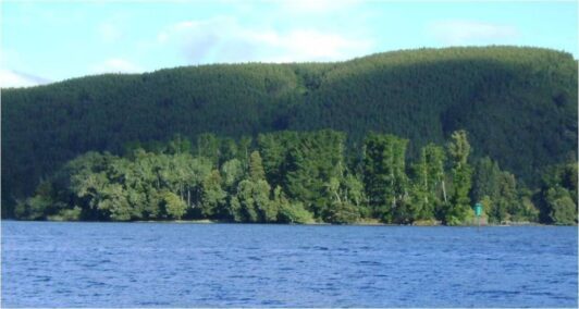 Tres islas del sur buscan nuevo dueño: Bienes Nacionales las incluyó en venta de inmuebles fiscales