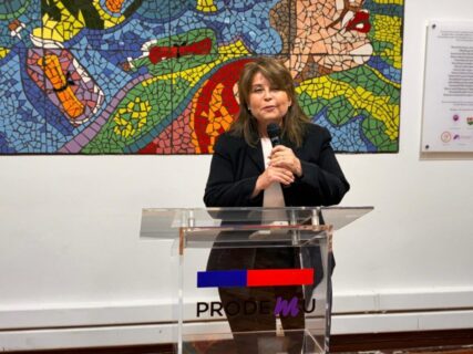 Directora de Prodemu pide retirar a Simone de Beauvoir de la lista de autoras destacadas: Tomó la medida tras revisar su biografía en Wikipedia
