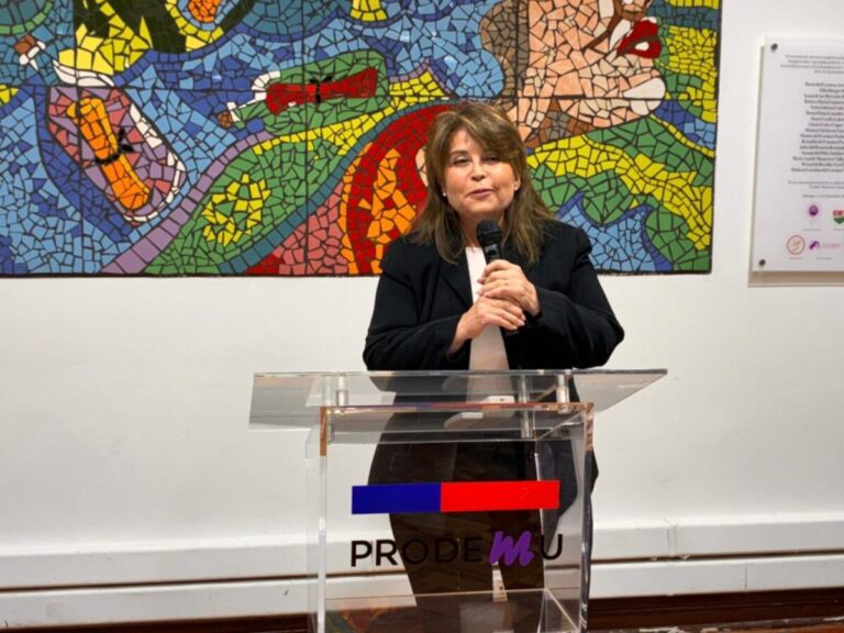 Directora de Prodemu pide retirar a Simone de Beauvoir de la lista de autoras destacadas: Tomó la medida tras revisar su biografía en Wikipedia