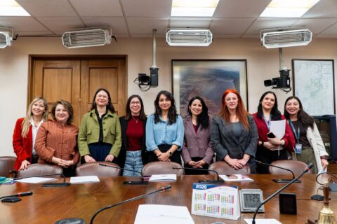 Con Irací Hassler, Ana María Gazmuri, Emilia Schneider y más: Diputadas de oposición reactivan Bancada Feminista Julieta Kirkwood