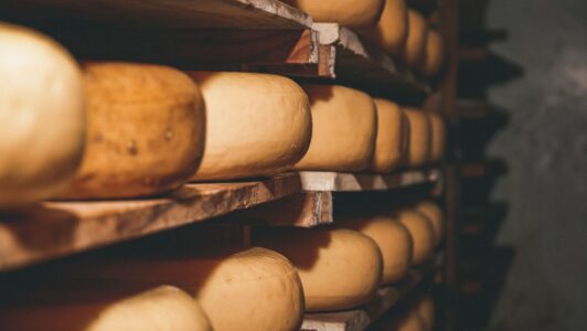 Minsal emite alerta alimentaria por presencia de listeria en queso mantecoso Matthei: Recomendó a personas no consumir lote afectado