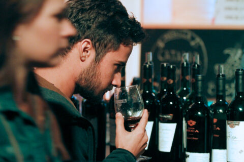 Día Nacional del Vino 2026: 8 panoramas con degustaciones, gastronomía y recorridos por viñas